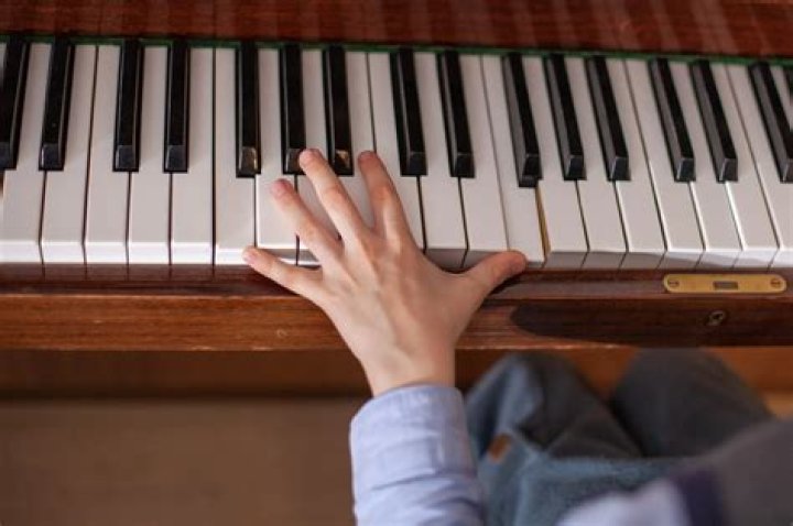 How many octaves does Celine Dion have?