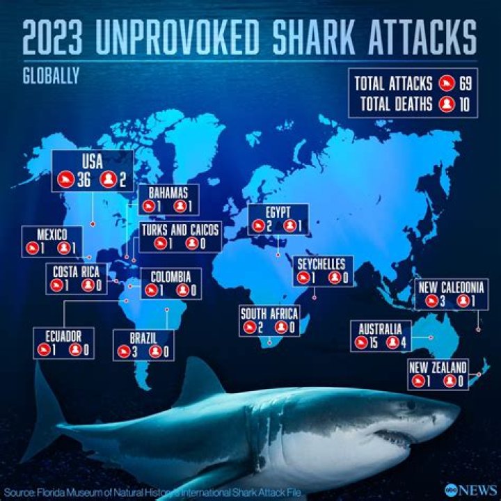 How many sharks are in the ocean 2021?