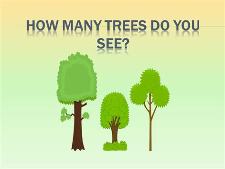 How many trees do we need per person?