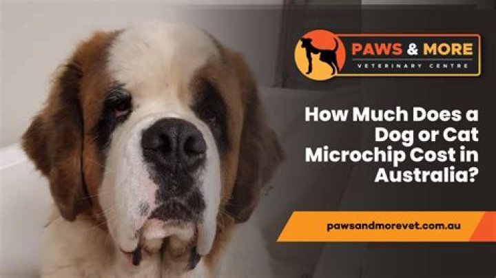 How much does it cost to fill up a semi?