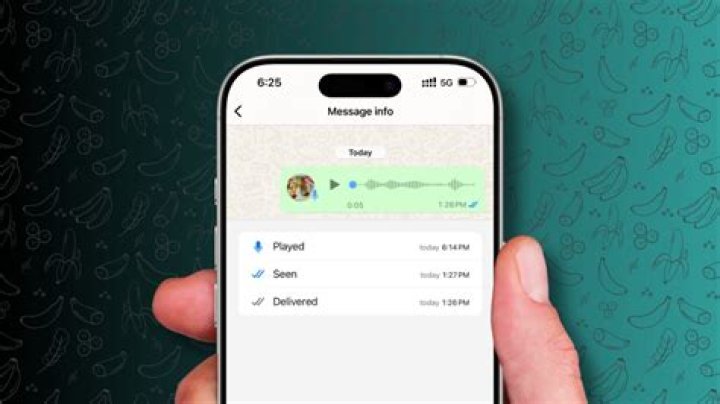 How much does WhatsApp charge per message?