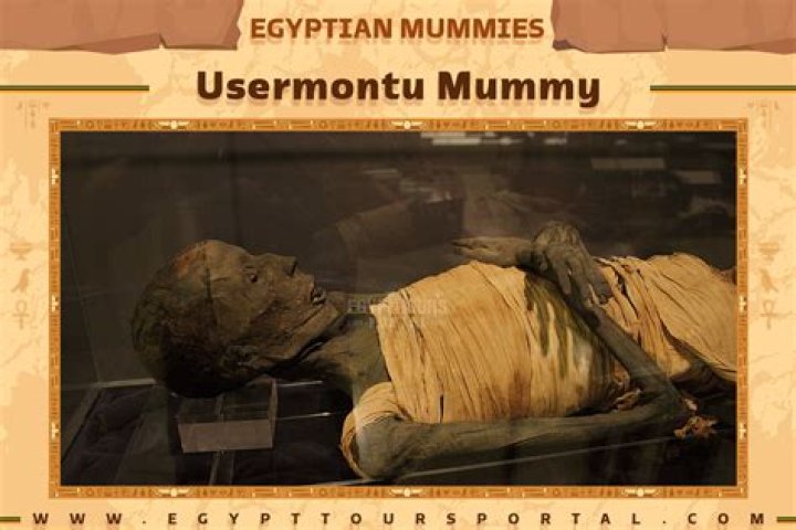 How much is a mummy worth?