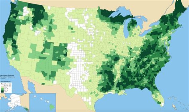 How much of America is forest?