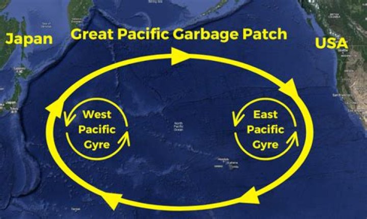 How much would it cost to clear the Pacific Garbage Patch?