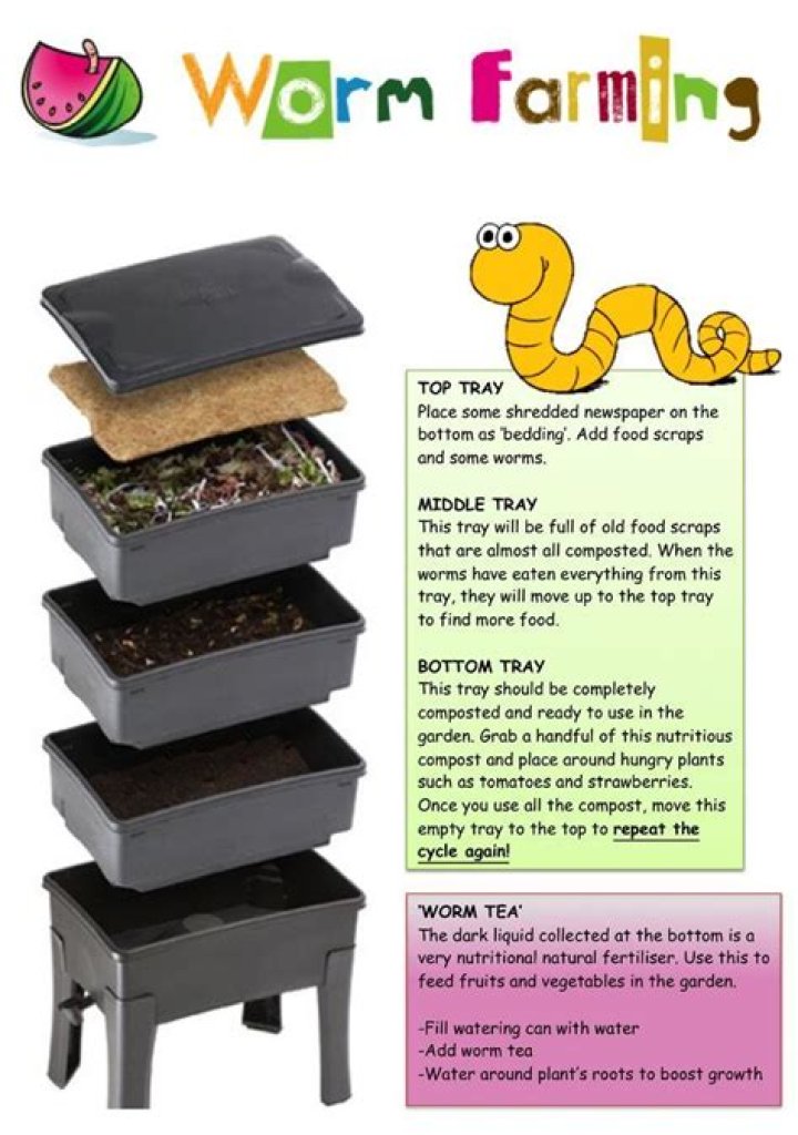 How often do you feed worms in a worm farm?