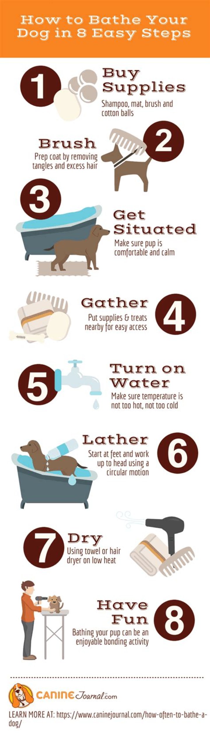 How often should you wash your puppy?