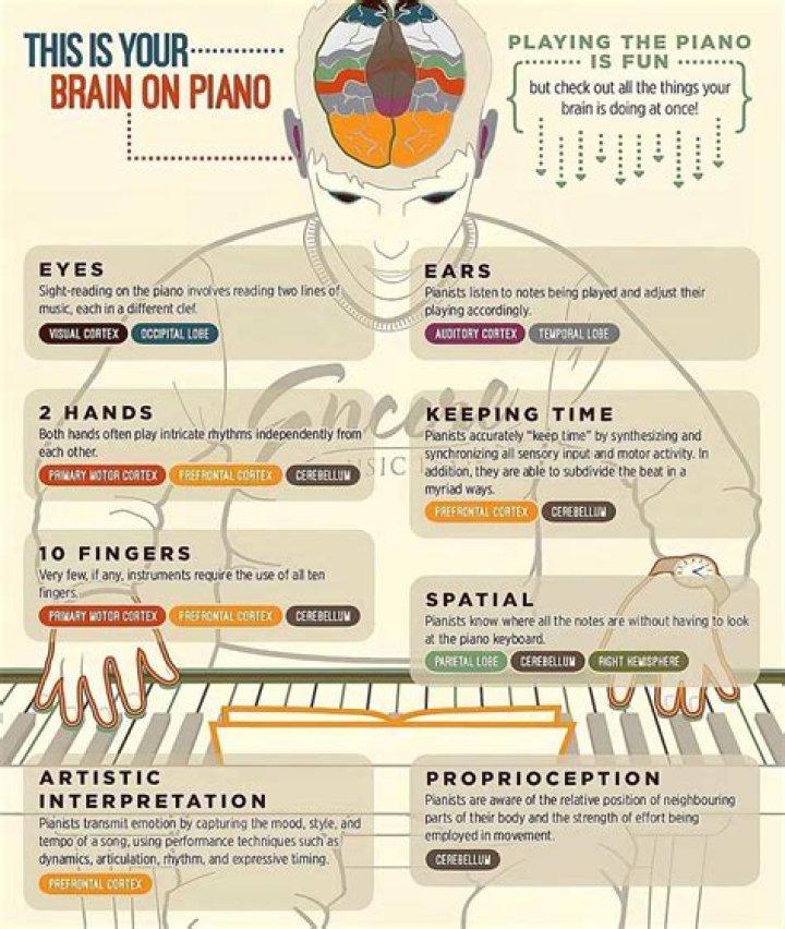 How pianists brains are different?