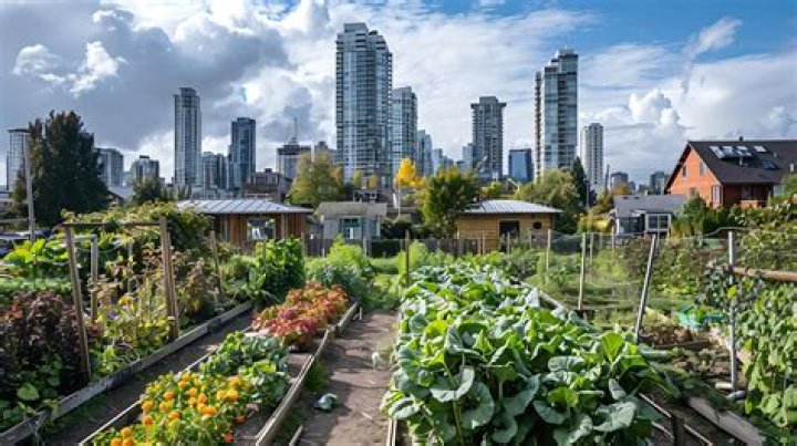 How profitable is urban farming?