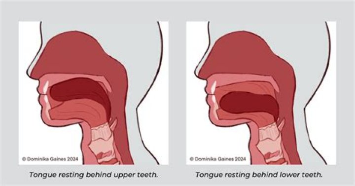 How should the tongue rest in the mouth?
