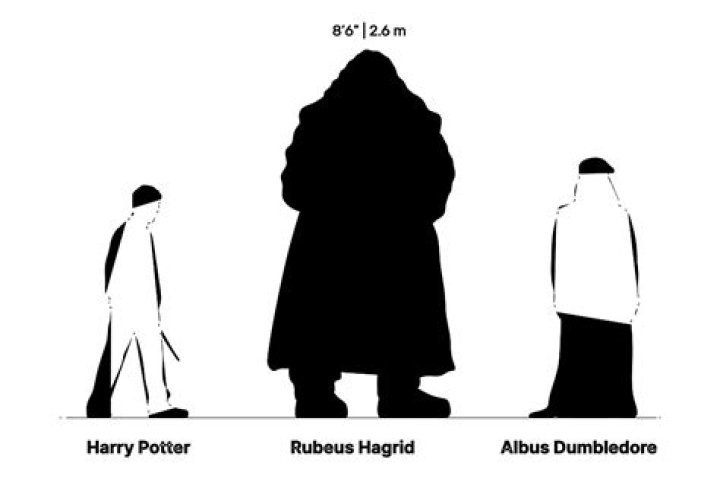 How tall is Hagrid?