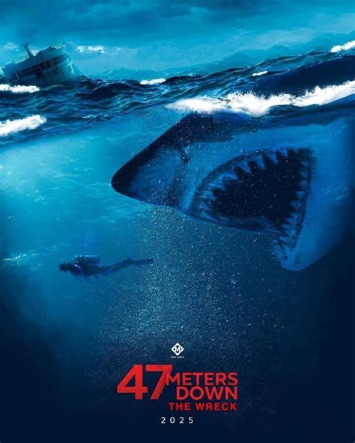 Is 47 meters down based on true story?