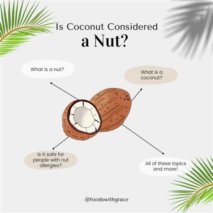 Is a coconut a nut?