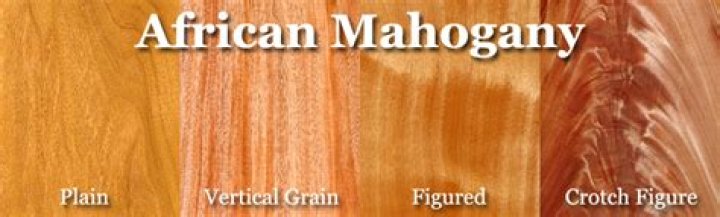 Is African mahogany expensive?