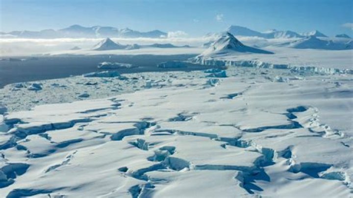 Is Antarctica a temperate desert?