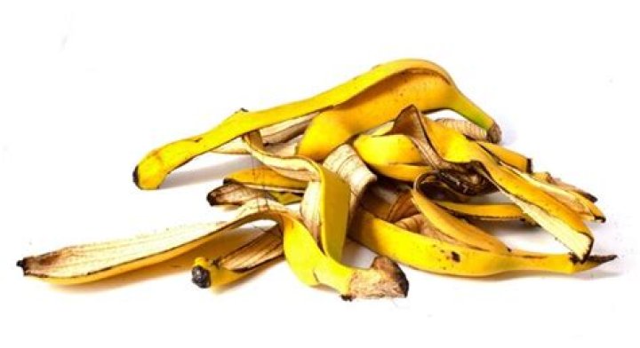 Is banana peels good for rose bushes?