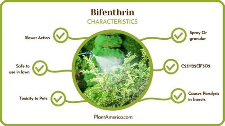 Is Bifenthrin stronger than permethrin?
