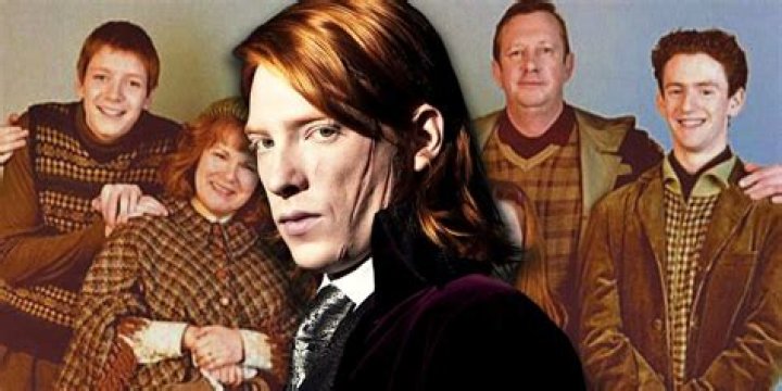 Is Bill Weasley a werewolf?
