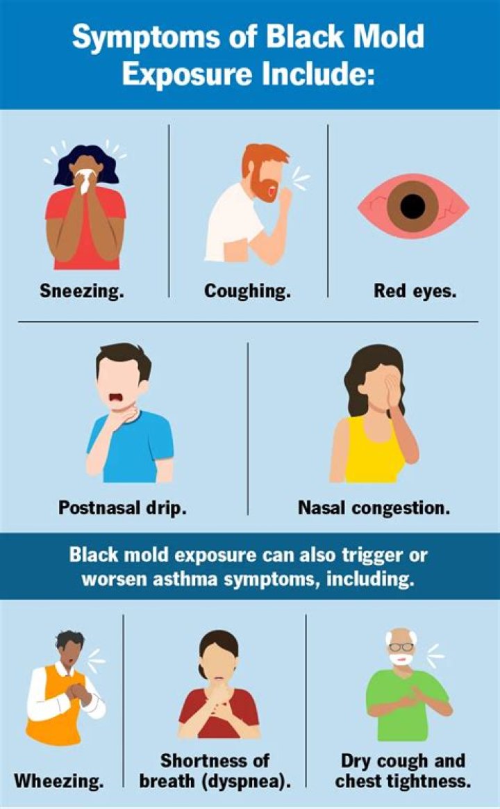 Is black mold flaky?