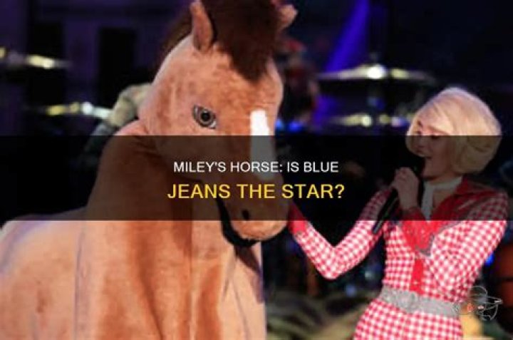Is Blue Jeans Miley's real horse?
