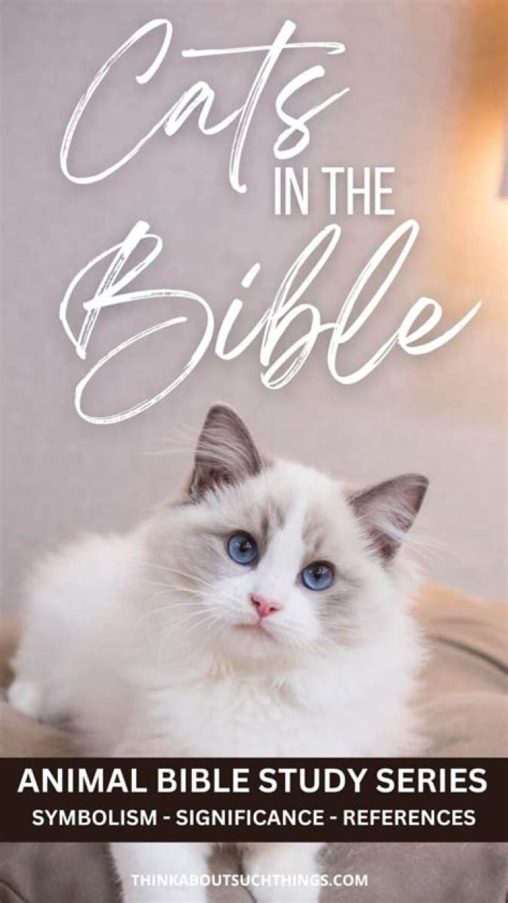 Is cats in the Bible?