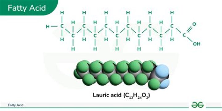 Is CBD oil a fatty acid?