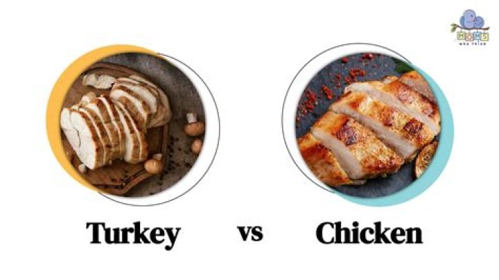 Is chicken and turkey healthy?