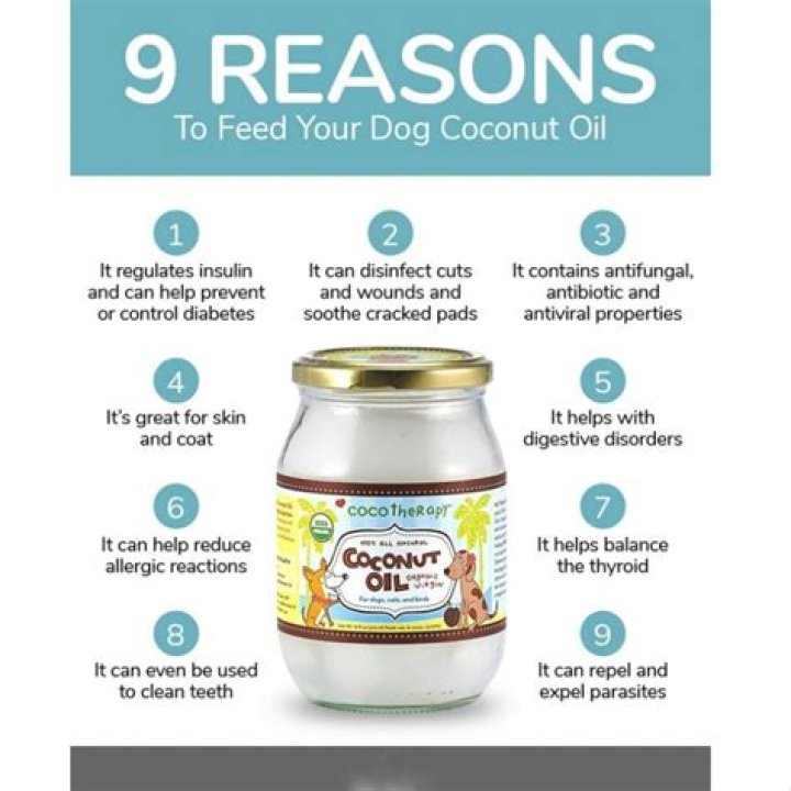 Is coconut oil good for dog mats?