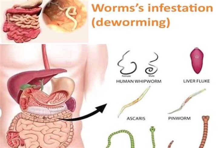 Is deworming needed for adults?