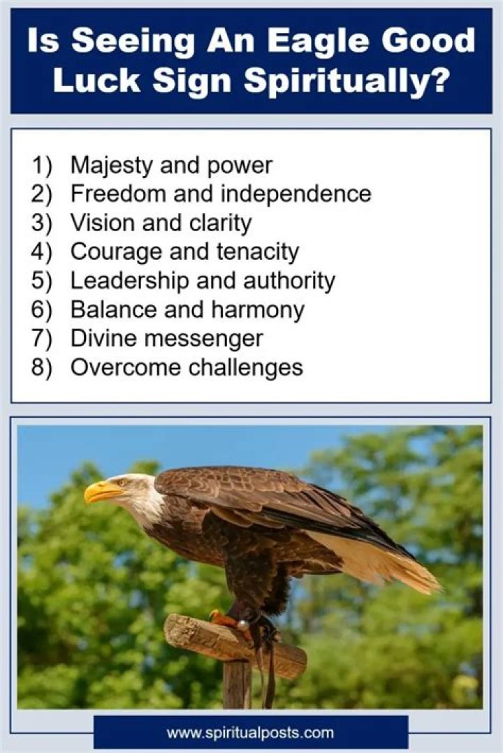 Is eagle Good luck?