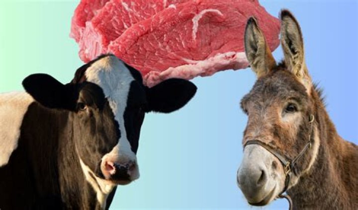 Is eating donkey haram?