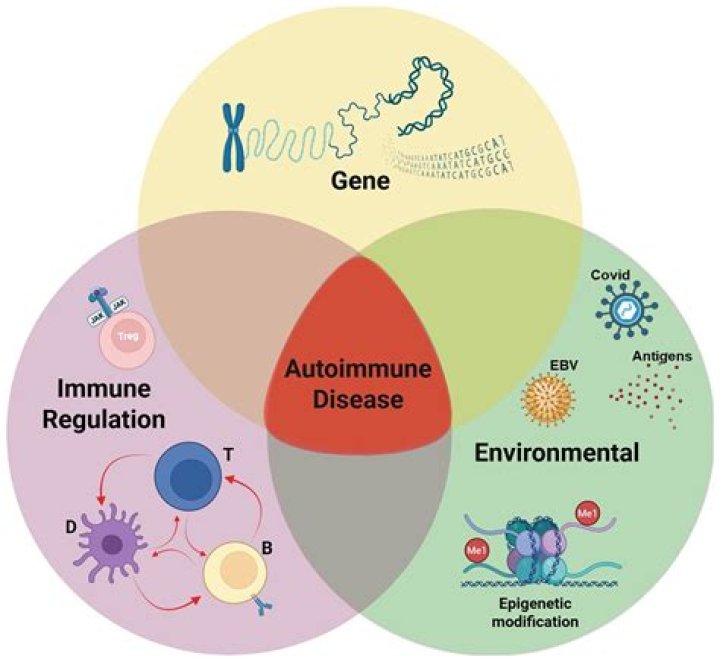 Is Epstein-Barr an autoimmune disorder?