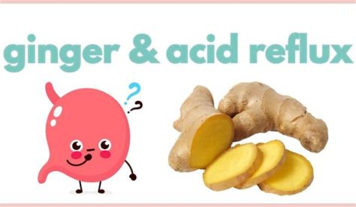 Is Ginger good for acid reflux in dogs?