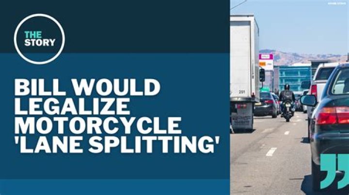 Is it illegal to hit a cat and drive off?