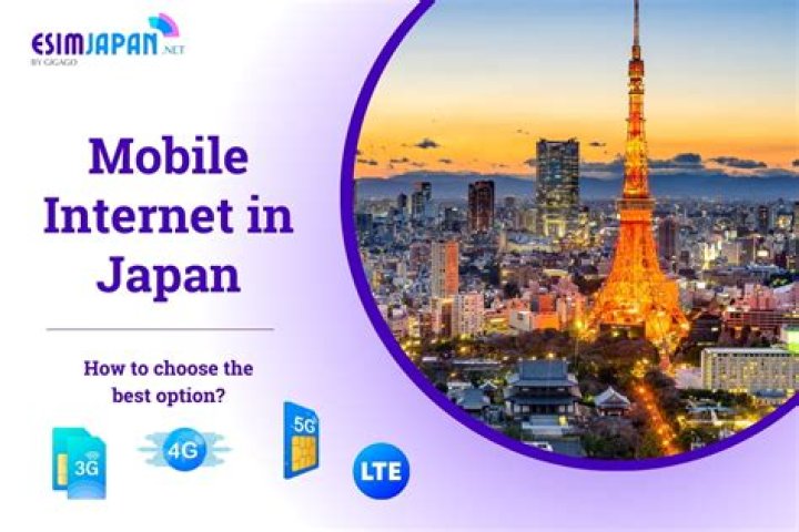 Is Japan internet fast?