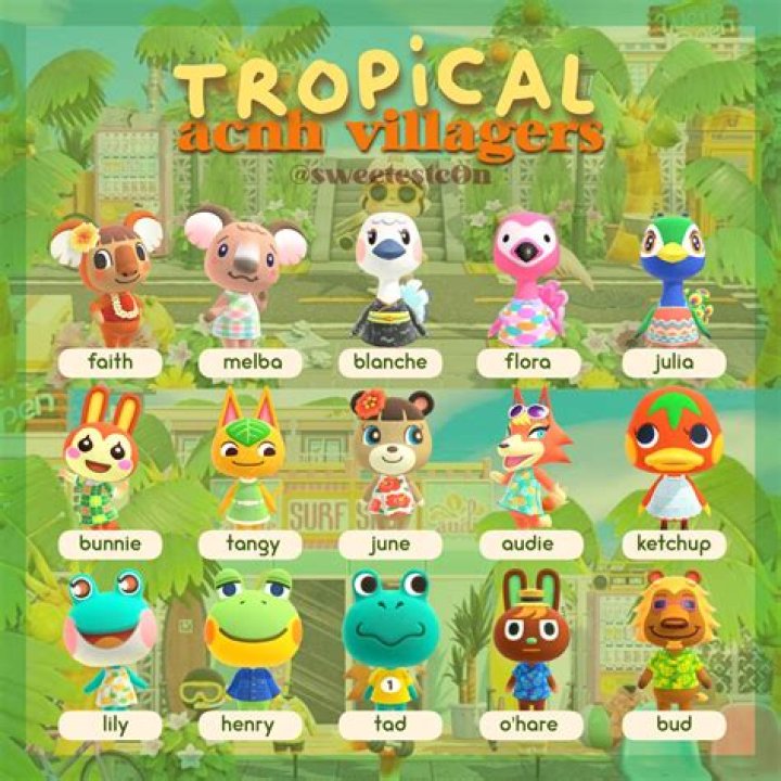 Is ketchup a good villager ACNH?