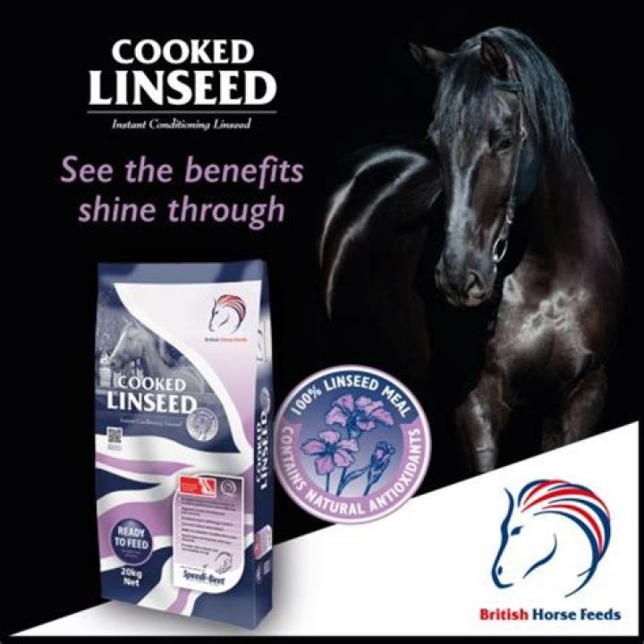Is linseed meal good for horses?