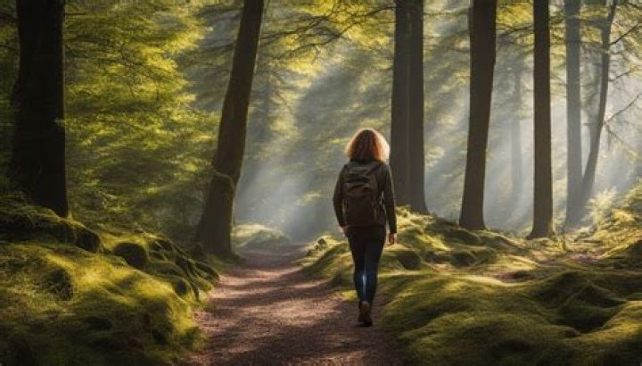 Is minimalism a philosophy?