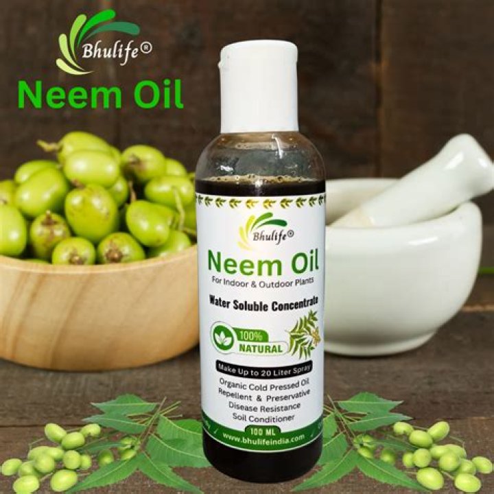 Is neem oil good for stretch marks?