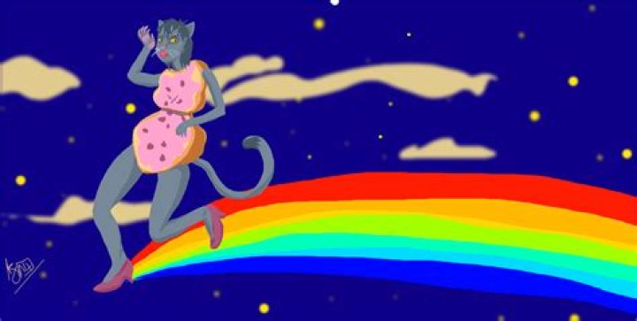 Is Nyan Cat a boy or a girl?