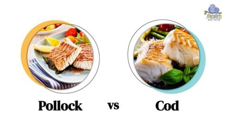 Is pollock the same as cod?