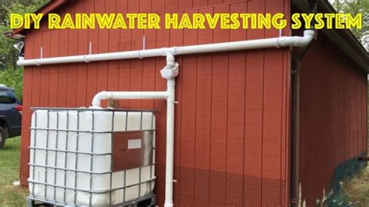 Is rainwater good for chickens?