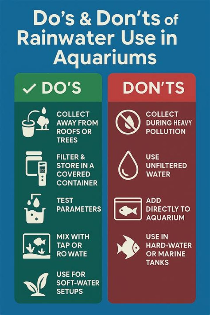 Is rainwater safe for aquariums?