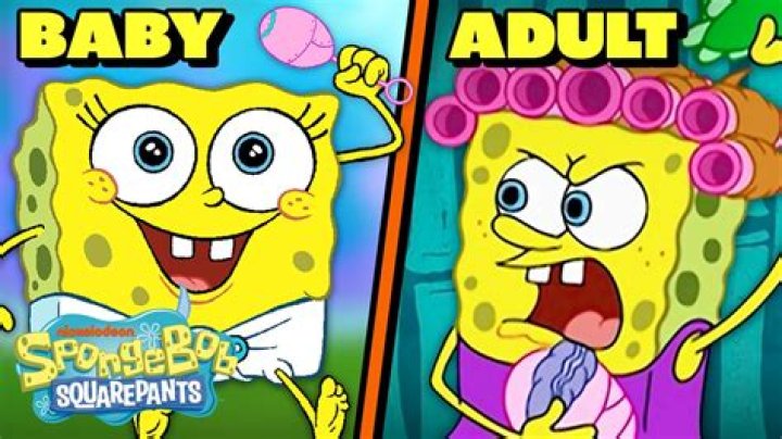 Is SpongeBob an adult?