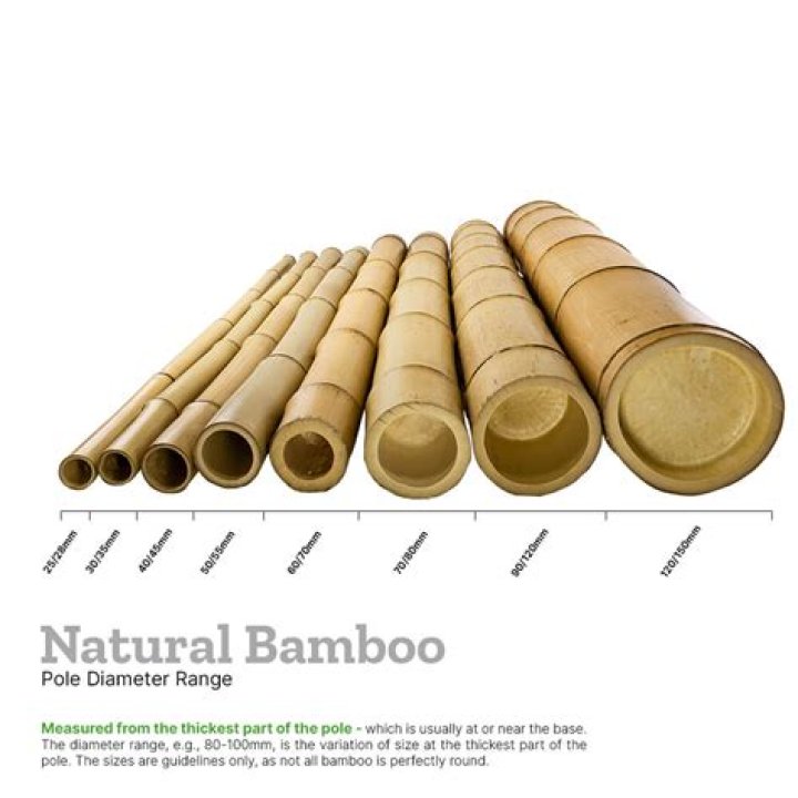 Is there cyanide in bamboo?