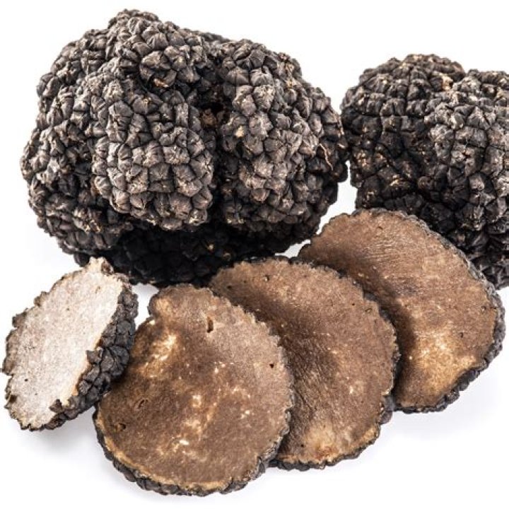 Is truffle a mushroom?
