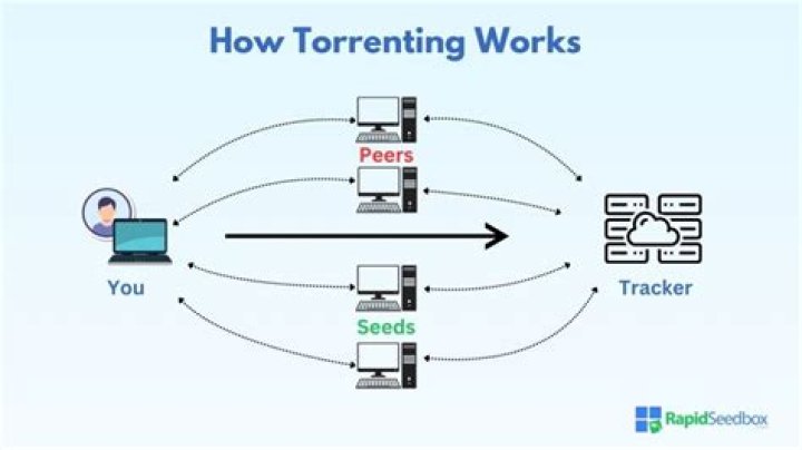 Is Usenet better than Torrenting?
