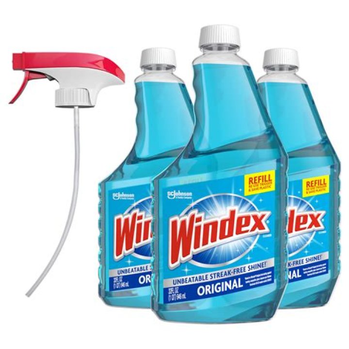 Is Windex safe for dogs?