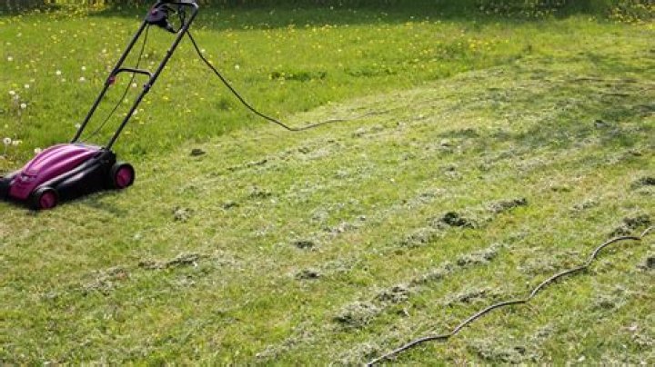 Should grass cuttings be left on lawn?