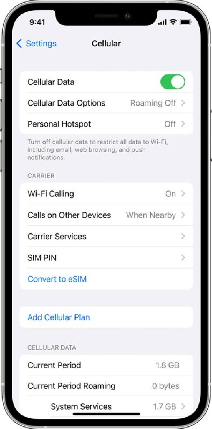 Should I have cellular data on or off on my iPhone?