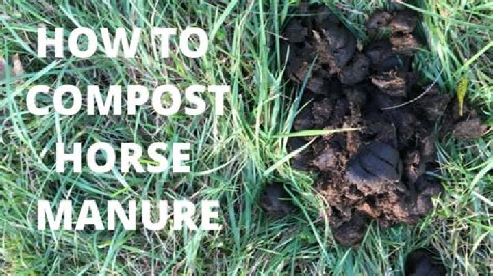 Should you put lime horse manure?